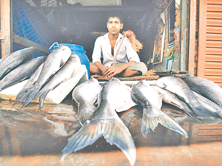 Bara farmers giving up crops for fish farming