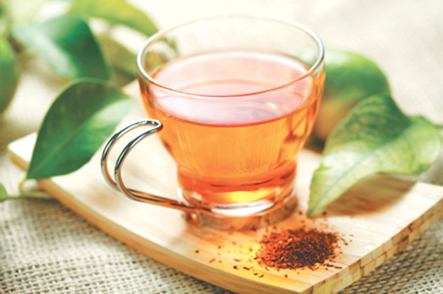 High profit lures Ilam farmers to Oolong Tea
