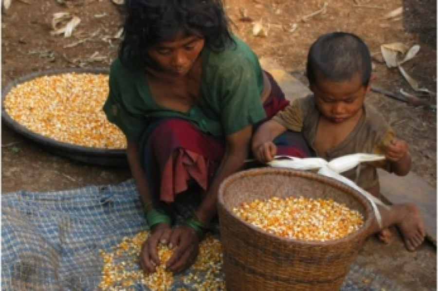 UN report states improvement in food security since Gorkha earthquake