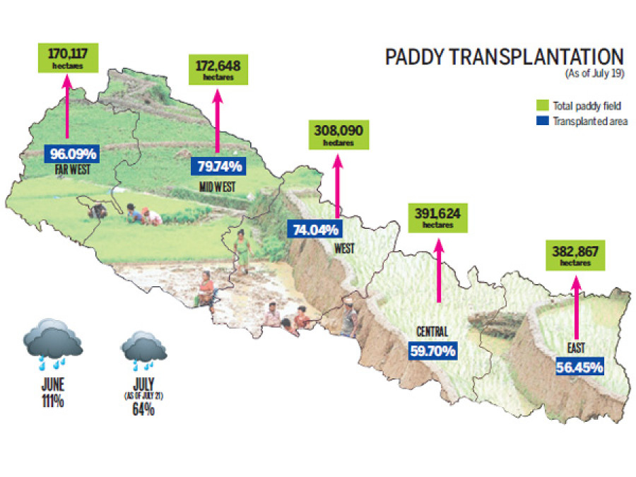 Fine rains raise hopes of good paddy harvest