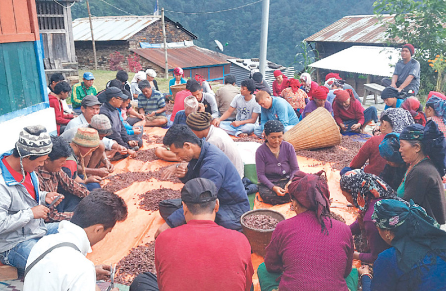 Cardamom entrepreneurs introduce grading system