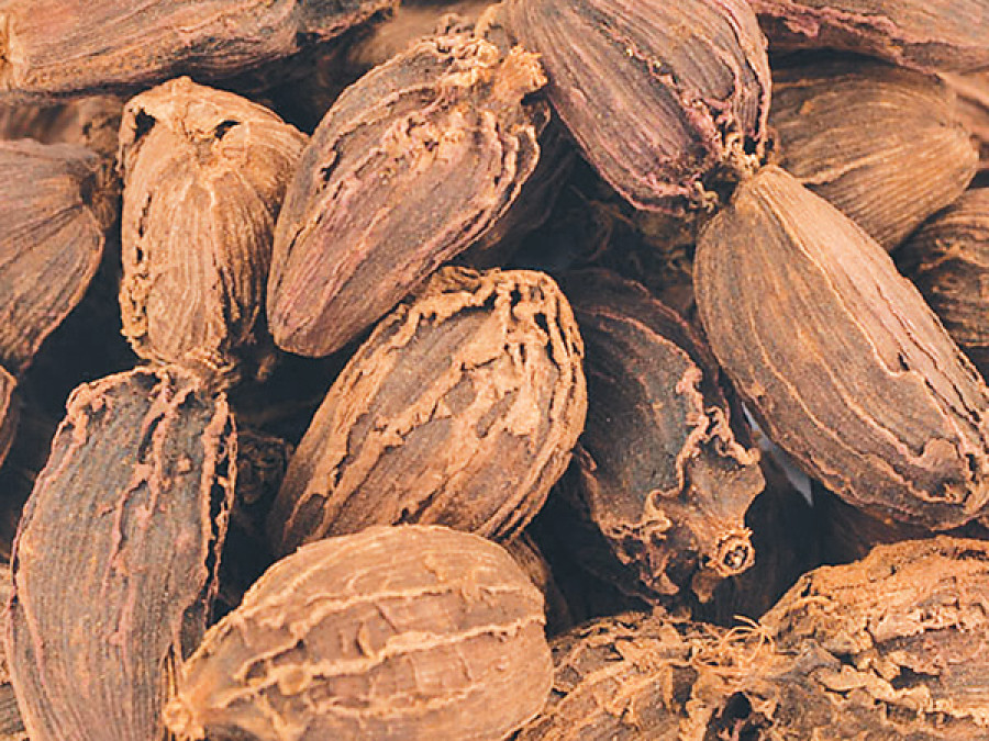 Nepali black cardamom set to get trademark