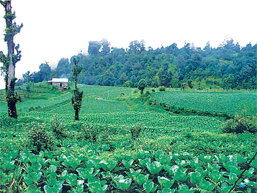 Slow growth in crop insurance coverage