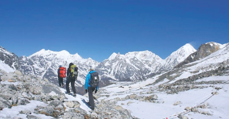 Tourism businesses optimistic despite disasters, says study