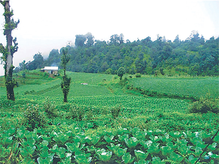 Agricultural insurance plan flops in Midwest