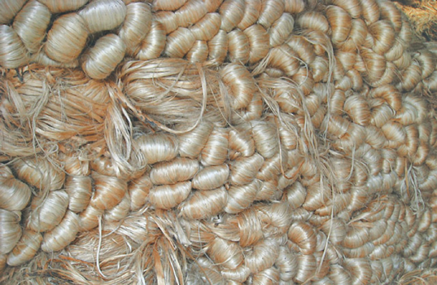 Unexpected tax kills jute exports to India