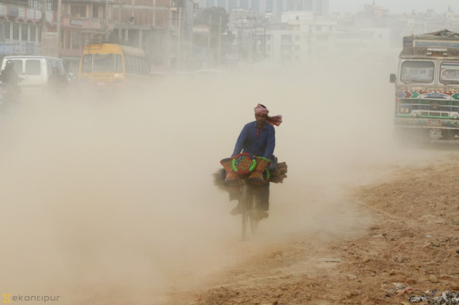 B vitamins may help reduce harm from air pollution