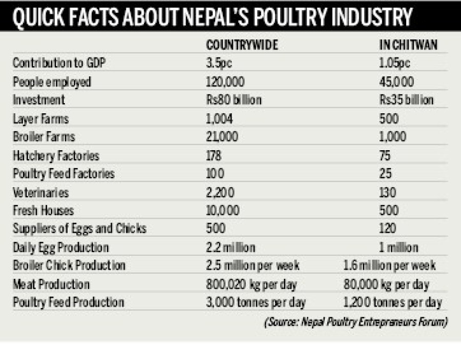 Bird flu biggest threat to poultry industry