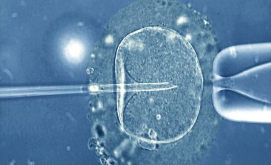 Three-person IVF baby for infertile couple