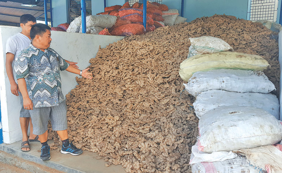 Ginger exports to India back on track, for now