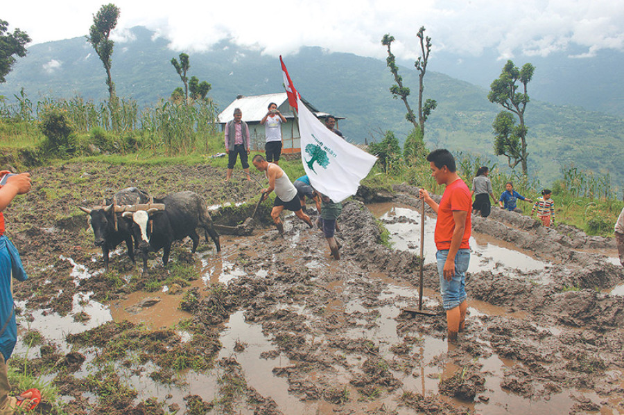 Achham’s female candidates for compulsory girl child education