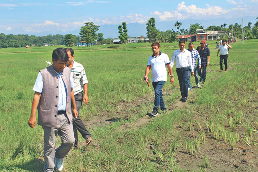 NOC paid three times the going rate in Jhapa: MPs