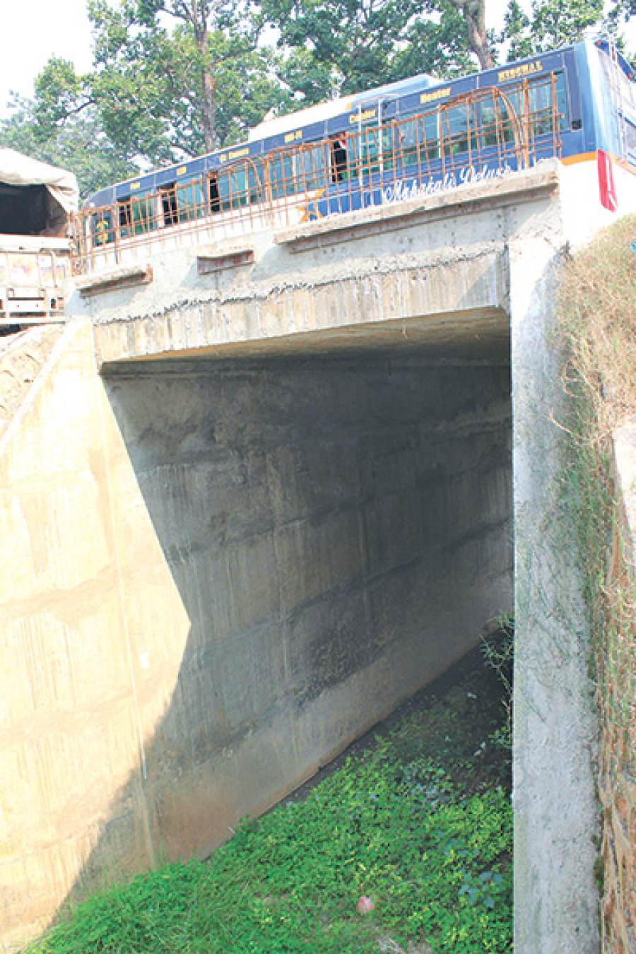 Wildlife crossings not commodious for larger animals, say CNP officials
