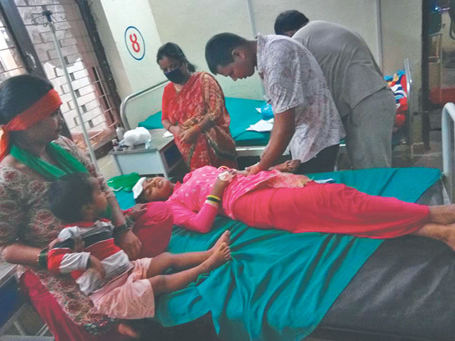 Swine flu death: Medical team from Capital begins inspection in Syangja