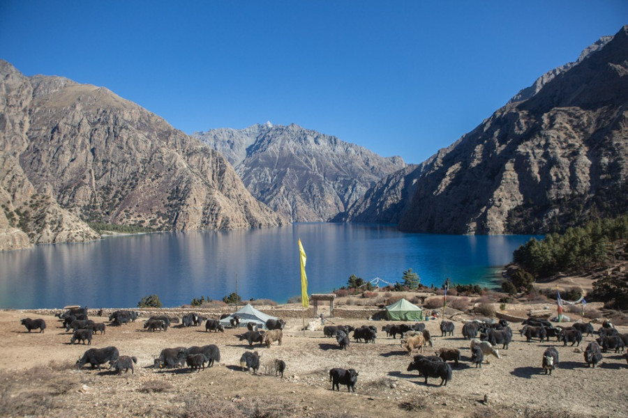 Showcasing Dolpo