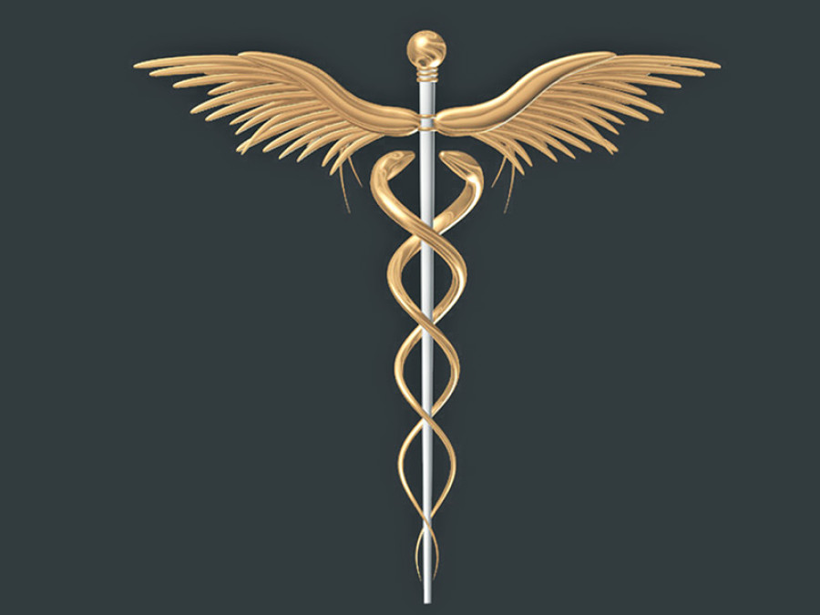 Doctors, politics and the flute