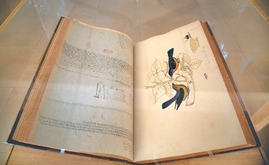 Chitrakars at triennale