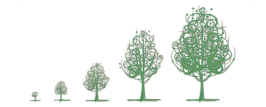 Forests fuelling progress