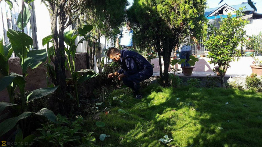 Bomb detonated at UML mayoral candidate’s house in Dharan