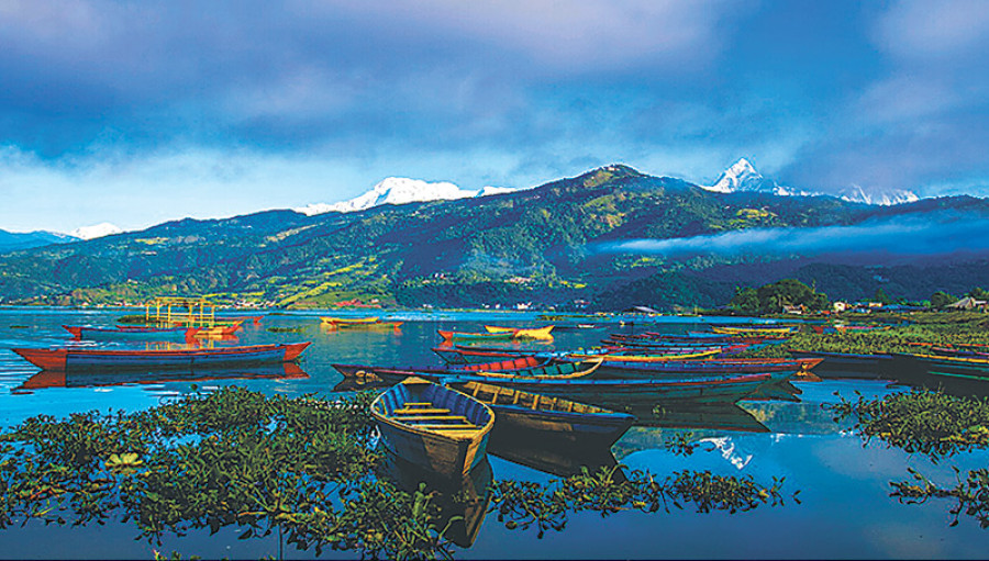 Local elections in Pokhara