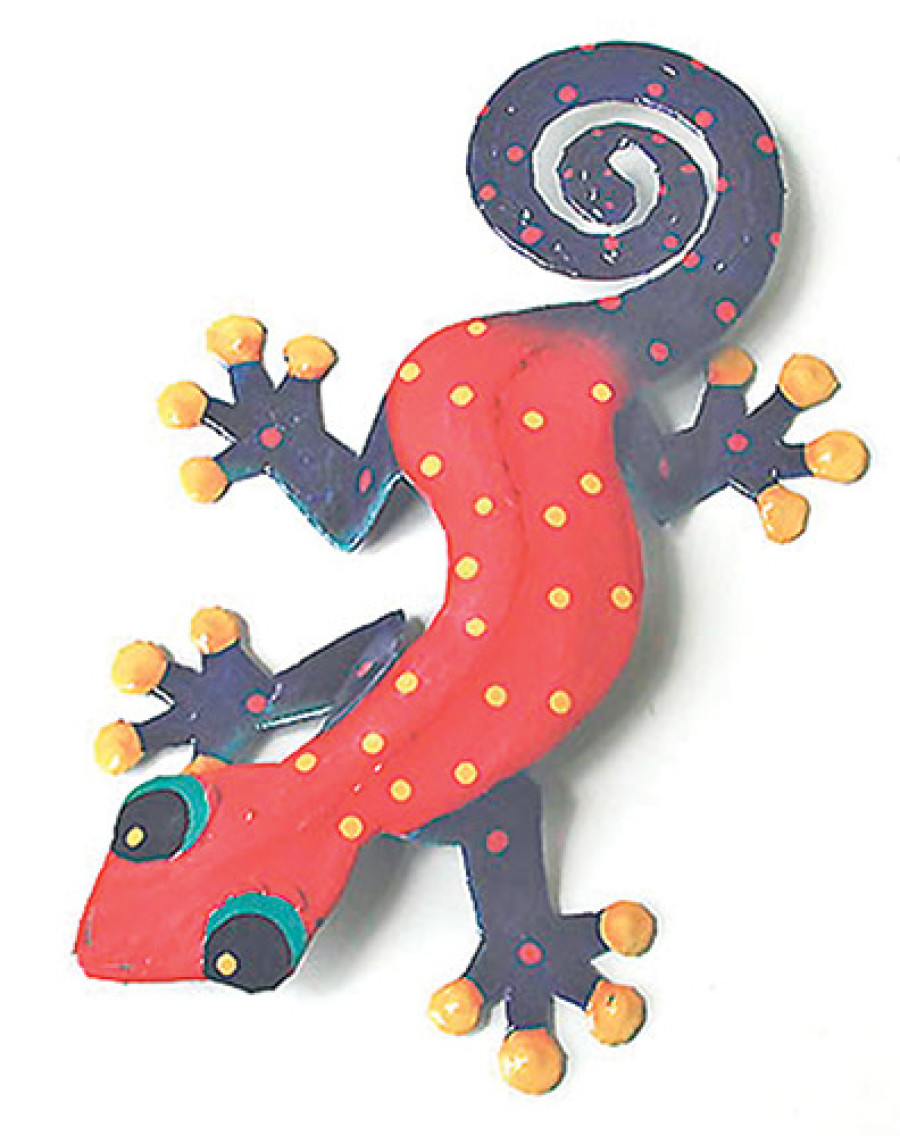 How to get rid of lizards