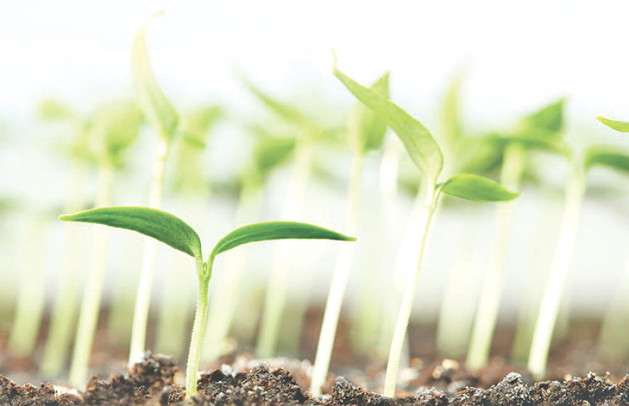 Farming in a time warp
