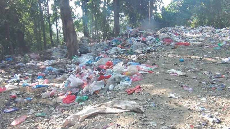 Garbage litters highway forest in Nawalparasi