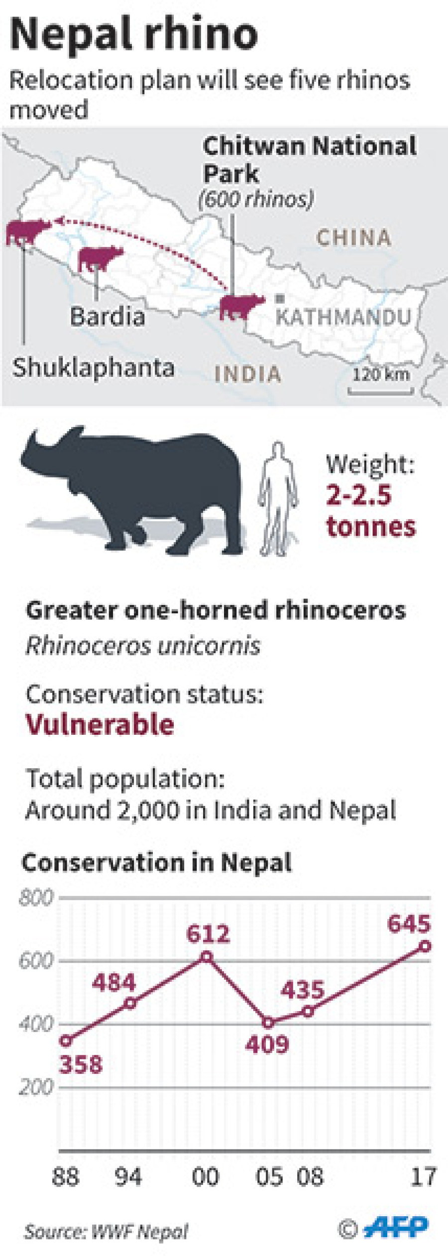 Rhinos continue to face threat from poachers
