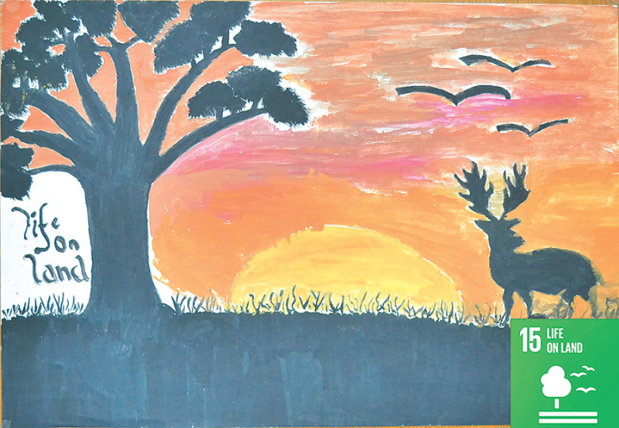 Conserving terrestrial ecosystems