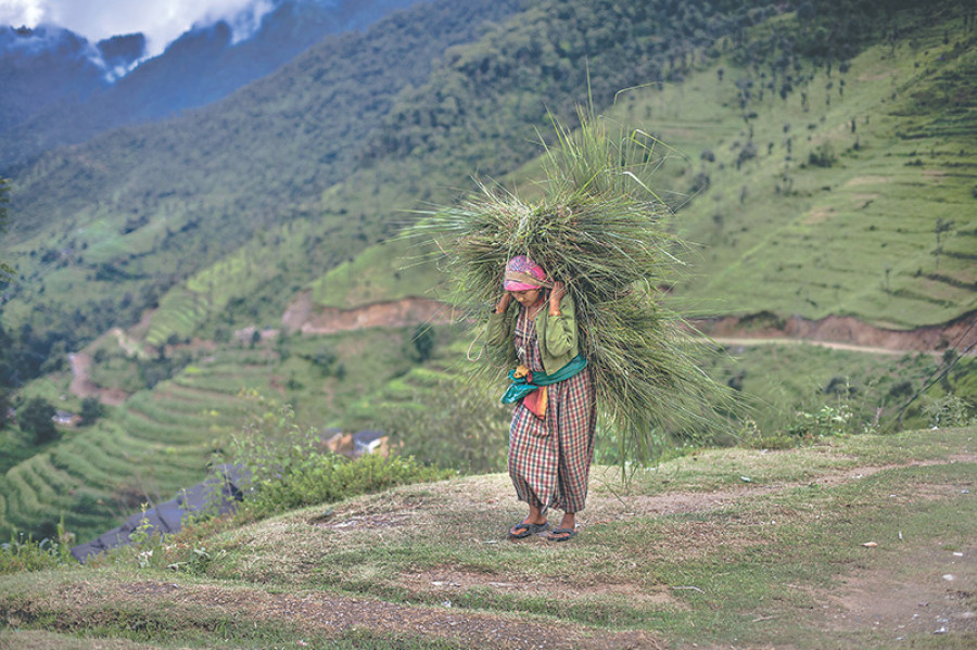 Understanding resilience