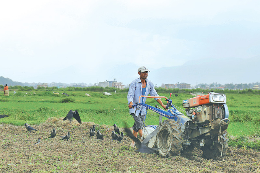 Delayed monsoon causes crops to wilt in Ramechhap