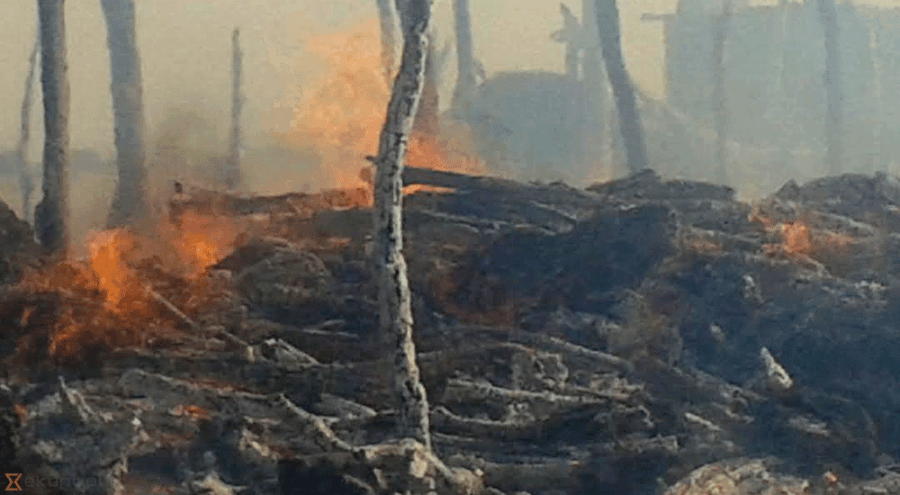 Fire guts 10 houses, animal shelters in Banke