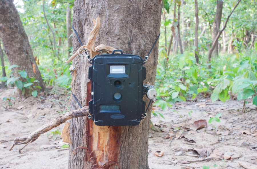 Researchers fear delay after losing 6 cameras