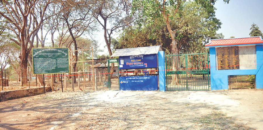 Bird flu detected in Taltalaiya children park