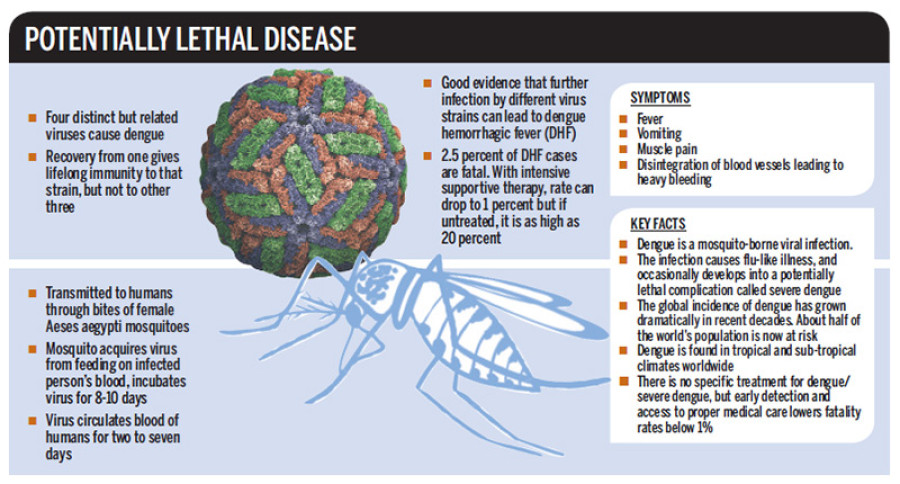 Dengue downs over 300, sparks drug shortage in Mahottari district