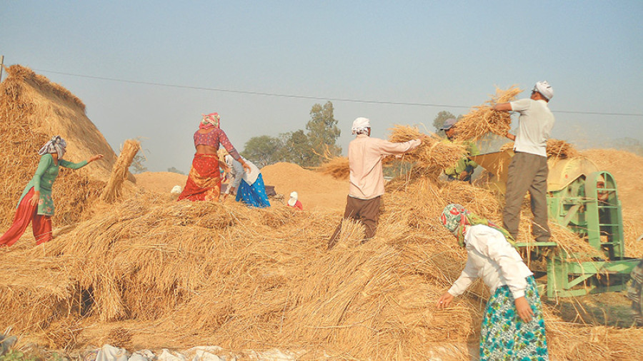 Livelihood concerns Rajapur locals more than elections