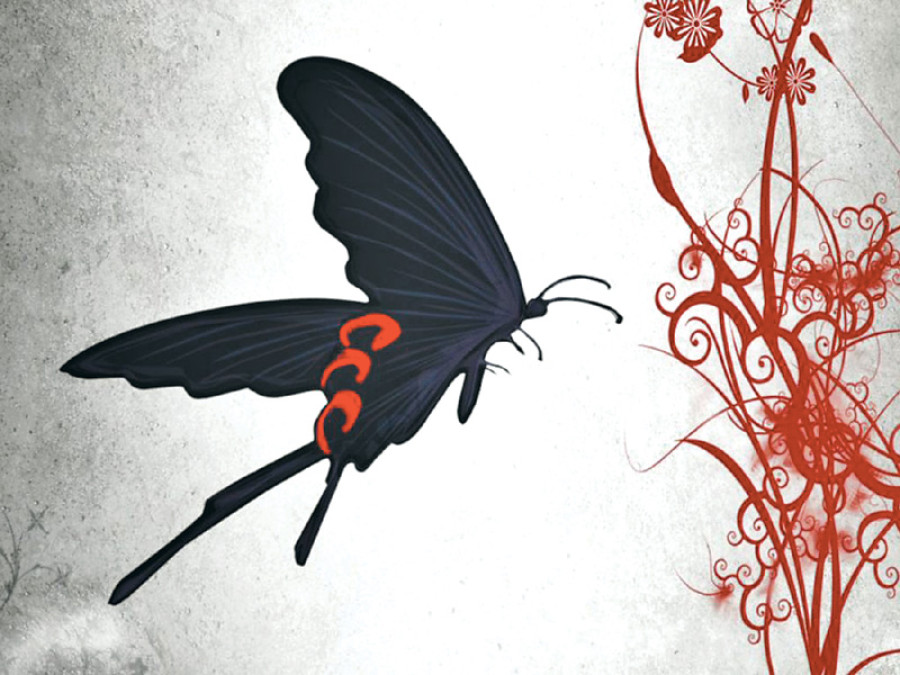 Fragility of life