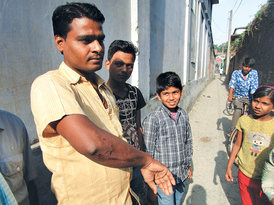 Two dead, five injured in elephant attack