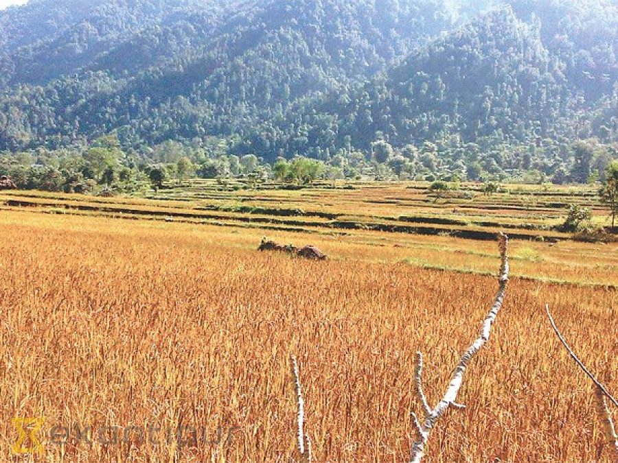 Directive against plotting of arable land