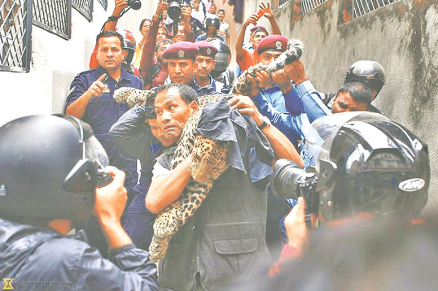 Compensation for victims of wildlife attacks doubled