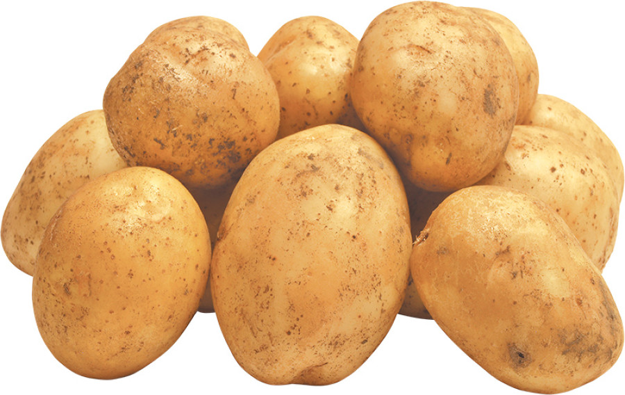 Steep fall in potato price hits farmers
