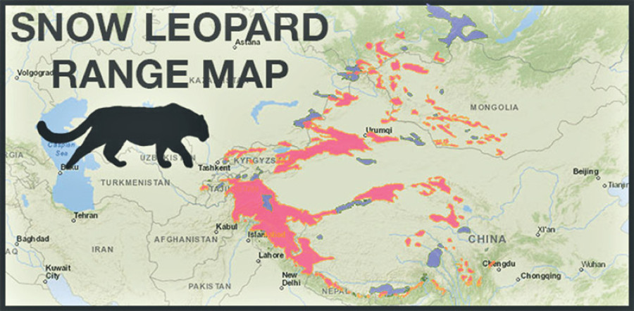Spl zones planned to protect snow leopards