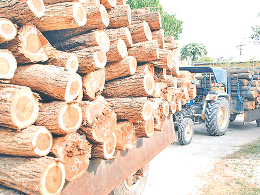 Timber smuggling rife at Nepal-India border in Banke