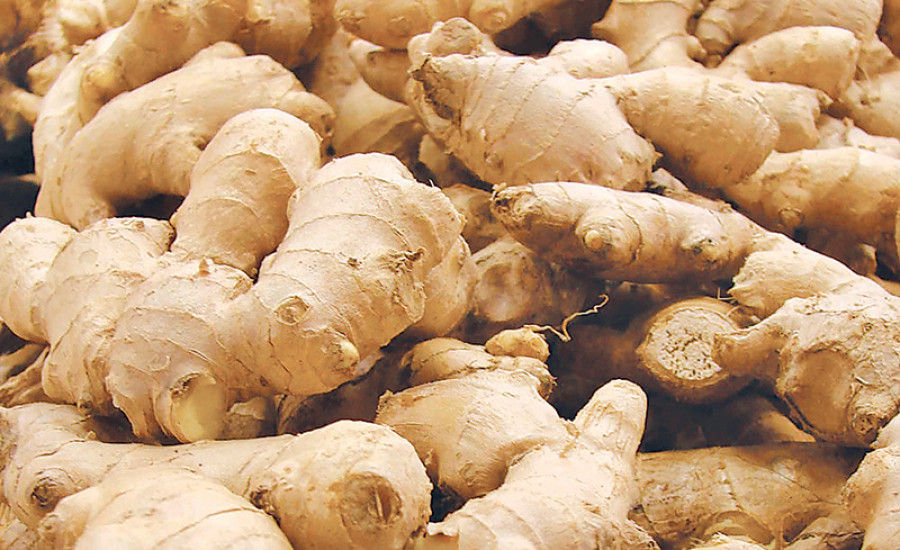 India imposes GST on Nepali ginger