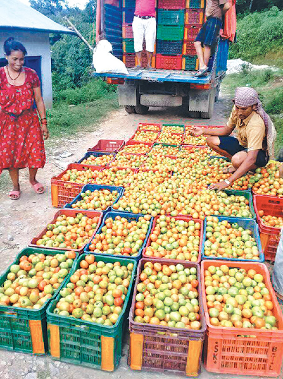 Returning migrants find farming more lucrative