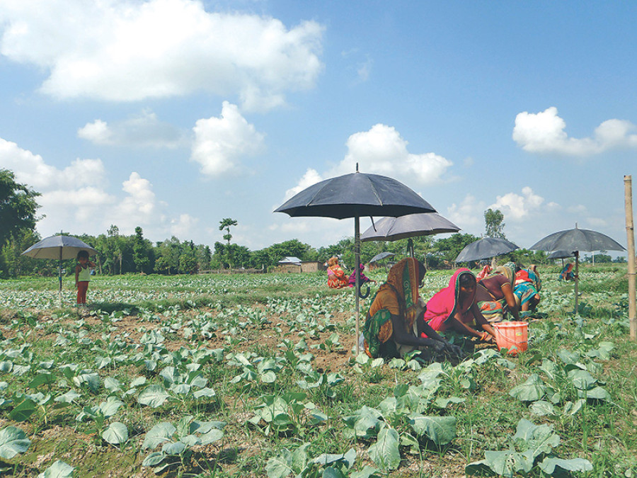 Farming timetable goes haywire due to floods
