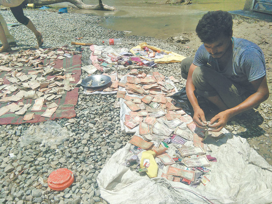 Floods shave Rs2.9b off farm sector: Govt