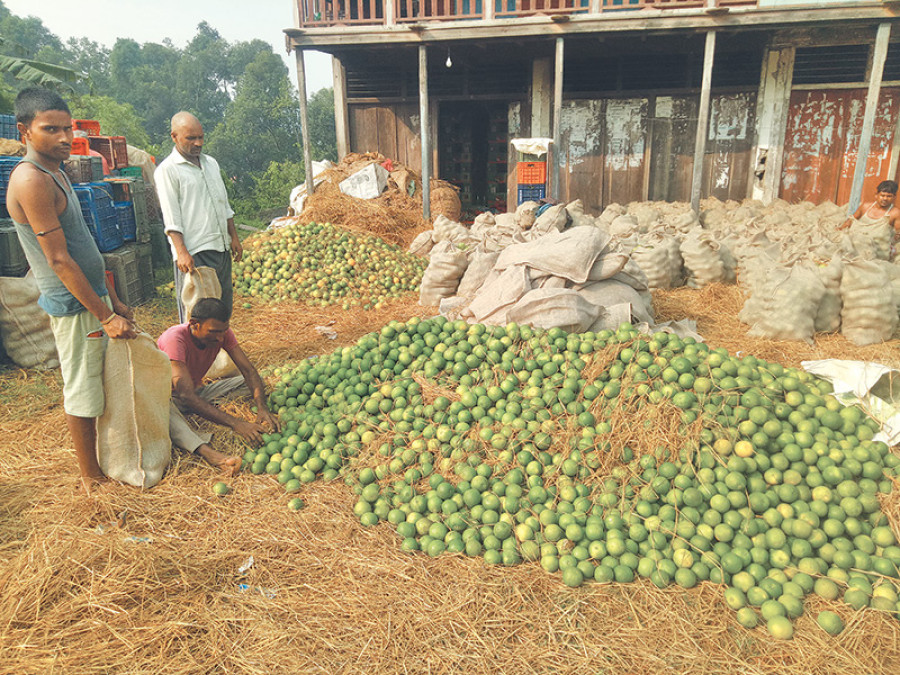 Middlemen accused of taking lion’s share