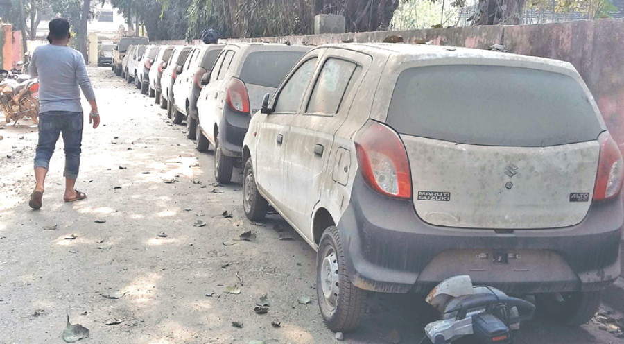 Cars gather dust at customs as sales fall