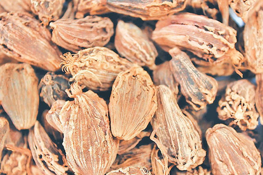 Farmers forced to sell cardamom at lower rates